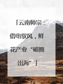云南师宗:借电驭风,鲜花产业“破圈出海”